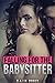 Falling for the Babysitter
