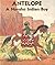 Antelope: A Navaho Indian Boy