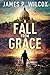 A Fall From Grace (A David ...