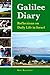Galilee Diary: Reflections on Daily Life in Israel