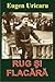 Rug și flacără by Eugen Uricaru