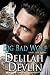 Big Bad Wolf (Night Fall #13)