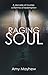 Raging Soul: A Decade of Mu...