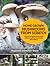Home-Grown Mushrooms from Scratch: A Practical Guide to Growing Edible Mushrooms Outside and Indoors