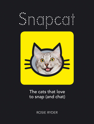 Snapcat: The Cats that Love to Snap (and Chat)