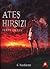 Ateş Hırsızı