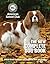 The New Complete Dog Book, 22nd Edition: Official Breed Standards and Profiles for Over 200 Breeds (CompanionHouse Books) American Kennel Club's Bible of Dogs: 920 Pages, 7 Variety Groups, 800 Photos
