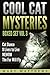 Magical Cool Cats Mysteries...