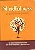 Mindfulness praktisch toepa...