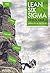 Lean six sigma green belt: mindset, skill set and tool set (Climbing the mountain)