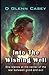 Into The Wishing Well