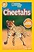 Cheetahs (National Geographic Kids Readers)