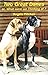 Two Great Danes: or, What w...
