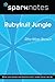Rubyfruit Jungle (SparkNotes Literature Guide)