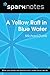 Yellow Raft in Blue Water (...