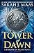 Tower of Dawn (Throne of Glass, #6)