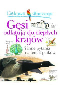 Ciekawe dlaczego gęsi odlatują do ciepłych krajów