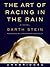 The Art of Racing in the Rain by Garth Stein