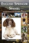 English Springer ...