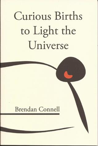 Curious Births to Light the Universe (Paperback)