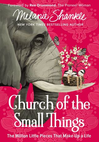 Church of the Small Things: The Million Little Pieces That Make Up a Life (Hardcover)