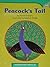 Peacock's Tail