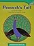 Peacock's Tail by Patrick Doherty