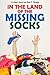In The Land Of The Missing Socks (A Short Story)