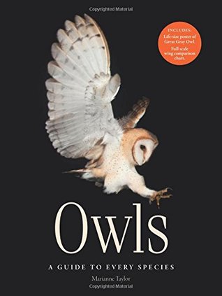 Owls - A guide to every species (Hardcover)