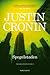 Spegelstaden by Justin Cronin