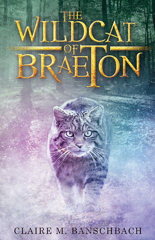 The Wildcat of Braeton (The Rise of Aredor #2)