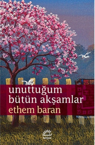 Unuttuğum Bütün Akşamlar (Paperback)