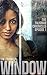 Window (The Talisman Chronicles, #1)
