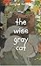 The Wise Gray Cat