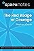 The Red Badge of Courage (SparkNotes Literature Guide)