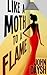 Like a Moth to a Flame (Nick Adamson, #2)