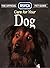 Care for your Dog