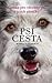 Psí cesta (Psí poslání, #2)