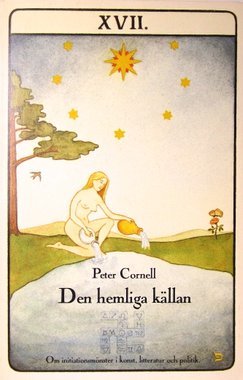 Den hemliga källan (Paperback)