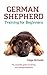 German Shepherd Training fo...