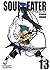Soul Eater. Tom 13 (Soul Eater, #13)