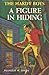 A Figure in Hiding (Hardy Boys, #16)
