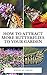 How To Attract More Butterf...
