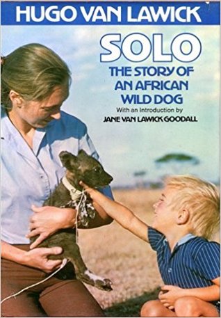 Solo: The Story of an African Wild Dog (Hardcover)
