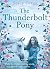 The Thunderbolt Pony