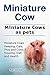 Miniature Cows as pets. Kin...