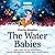 The Water Babies: A BBC Rad...