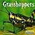 Grasshoppers