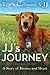 JJ's Journey: A Story of Heroes and Heart