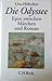 Die Odyssee. Epos zwischen Märchen und Roman